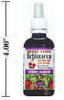 - ZooScape - Echinacea Alcohol-Free Cherry Flavour Tincture