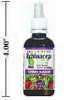 - ZooScape - Echinacea Alcohol-Free Fresh Mint Flavour Tincture