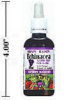 - ZooScape - Echinacea Alcohol-Free Grape Flavour Tincture