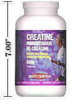 - ZooScape - Creatine Monohydrate - Lemon Lime Powder