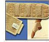 - ZooScape - Leg / Arm / Ankle Wrap - North (800 gauss)