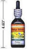 - ZooScape - Ginkgo Biloba Extract - Alcohol Free - Natural Tangerine Flavour