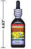 Echinacea and Goldenseal Tincture - Angustifolia & Purpurea - Alcohol-Free