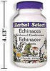 Macular Degeneration (AMD) - Health - Echinacea Goldenseal - 450 mg