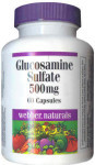 Chondroitin Sulfate - 500 mg