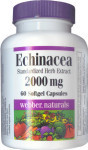 Echinacea Extract (8:1 Extract) - 2000 mg