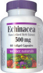 Echinacea Herb - 500 mg