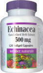 Echinacea Herb - 500 mg