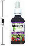 Echinacea Alcohol-Free Fresh Mint Flavour Tincture