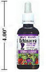 Echinacea Alcohol-Free Grape Flavour Tincture