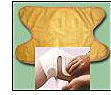 Knee Wrap - High Power (H shape) - North (800 gauss)
