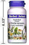 Tribulus Extract - 500 mg
