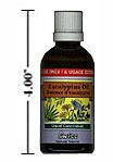 Eucalyptus Oil - Liquid Concentrate - External Use