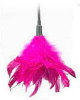 Starburst Feather Ticklers - Rose