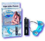Diving Dolphin