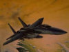 - ZooScape - F-15C Eagle Fighter - McDonell-Douglas - Plastic Kit - 1:72 Scale