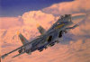- ZooScape - SU-27D Sea Flanker - Sukhoi Aircraft - Plastic Kit - 1:72 Scale