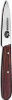 Paring Knife