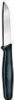 Paring Knife