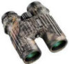 Bushnell