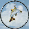 Chime Dolphin - 1 Tube, 5 Rings