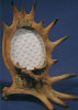 Moose Stand Picture Frame Small - 7" x 9"