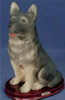 /trait100788/critiquet120381Boy's Birthday - Toys products - German Shepherd - 7.5" x 10"