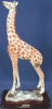 Giraffe - 8" x 16"