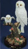 White Snow Owl with Baby on Branch - 7" x 11"