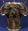 Elephants Vase - 10.5" x 12"