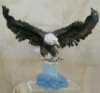 Eagle Flight on Clear Blue - 13" x 12"