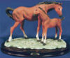 Horse & Foal - 11" x 7.5"