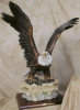Eagle Extra Large - 19" x 23"