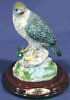 Bird Harrier - Small - 3.5" x 4.5"