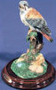 Bird Kestrel - Small - 3.5" x 5"