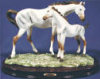Horse & Foal Appaloosa - 11" x 7.5"