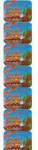 Organic Cinnamon Snaps 12 Tins