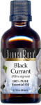 Black Currant Pure Essential Oil