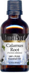 Calamus Root Pure Essential Oil