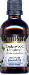 Cedarwood Himalayan Pure Essential Oil