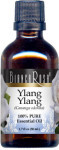 Ylang Ylang Pure Essential Oil
