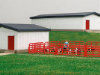 Hog Confinement Playset