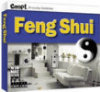 Feng Shui -