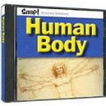 Human Body