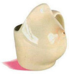 Boobie Mug