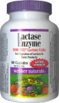 Ultra Lactase Enzyme (9000 FCC) - Dairy Digestion Aid