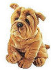 Sharpy The Plush SharPei - 12" - The Heartcraft Collection