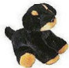 Roxy - Pedigree Puppy