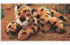 Jelani Leopard - 14" - Jungle Express Collection