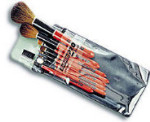 BABYLISS PRO Cosmetic Brush Kit - 8 Assorted Brushes in Plastic Carrying Case